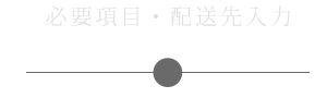 必要項目・配送先入力